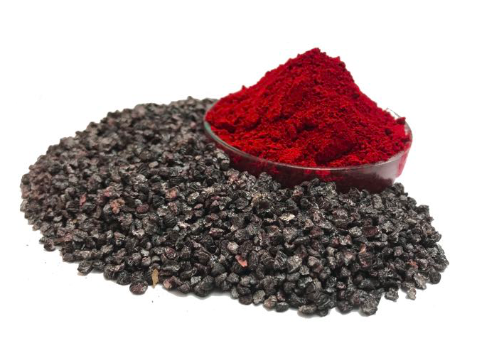 Cochineal insects used by BioconColors as a raw material for Carmine and natural colorants.